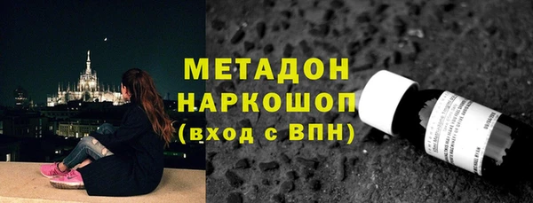индика Абаза
