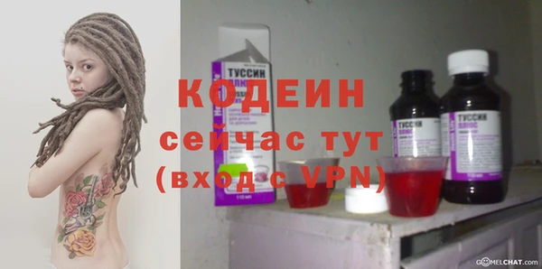 индика Абаза