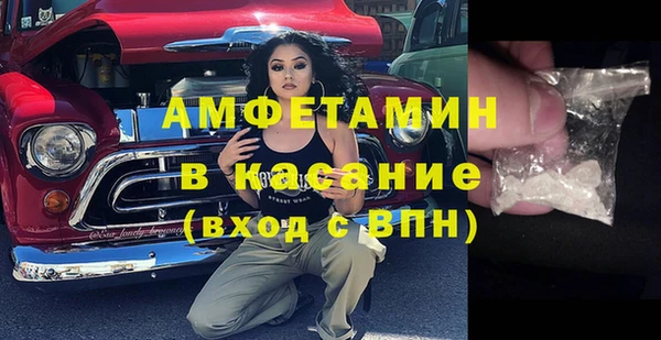 индика Абаза